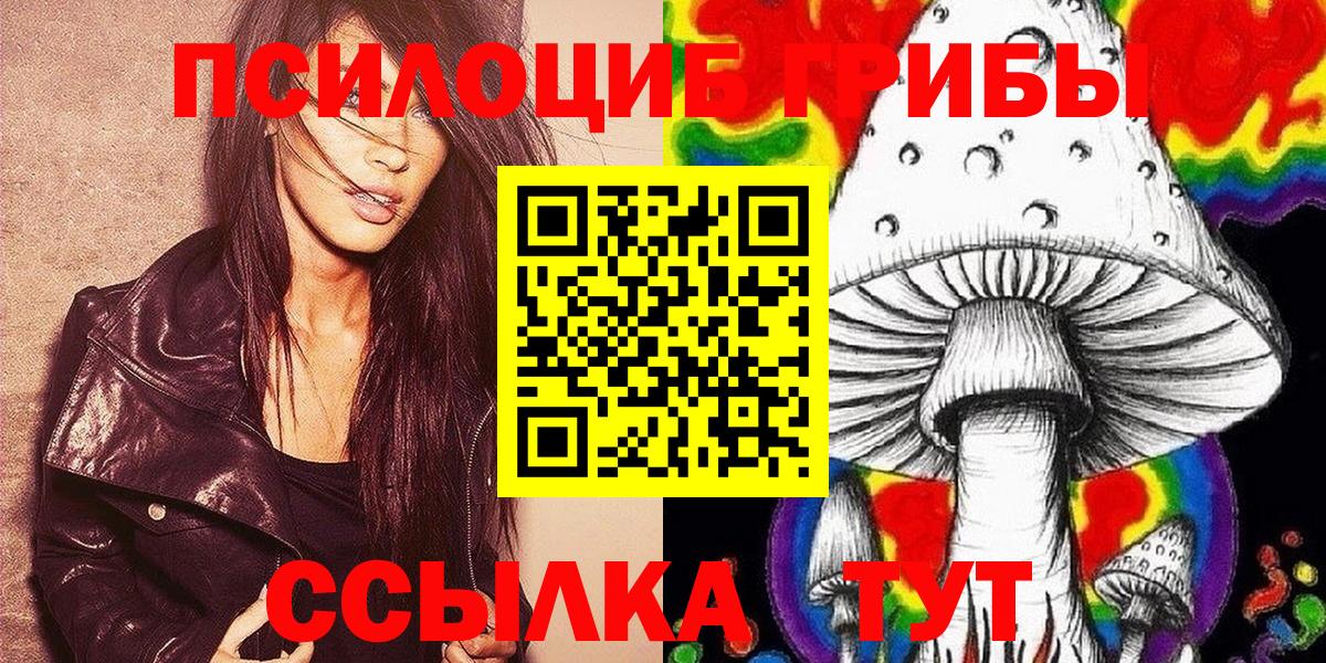 Галлюциногенные грибы Cubensis Чайковский